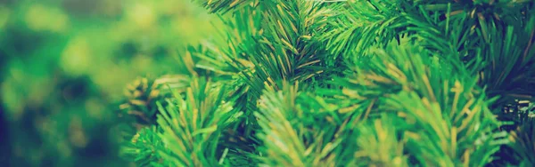 Cerrar Árbol Navidad Verde Con Fondo Vacaciones Navidad — Foto de Stock