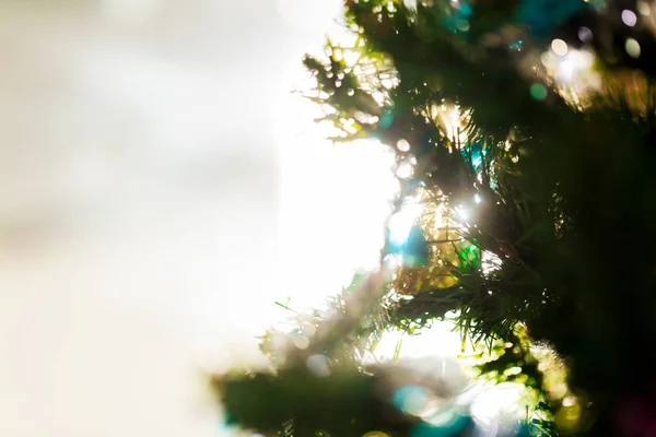 Brilla All Albero Natale Sfondo Delle Vacanze Natale Anno Nuovo — Foto Stock