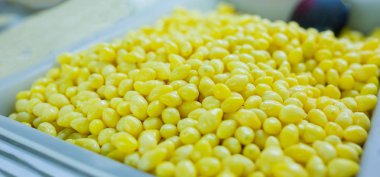 Tayland gıda pazarında Ginkgo biloba tohumu, Ginkgo tohumu.