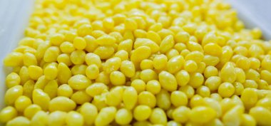 Tayland gıda pazarında Ginkgo biloba tohumu, Ginkgo tohumu.