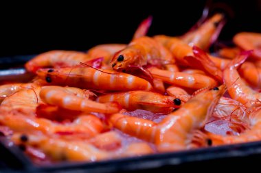 Buz otel büfe doğrultusunda veya restoran buğulanmış karides