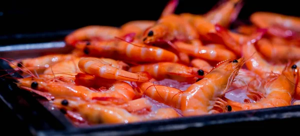 Steamed shrimp on ice in hotel buffet line or restaurant