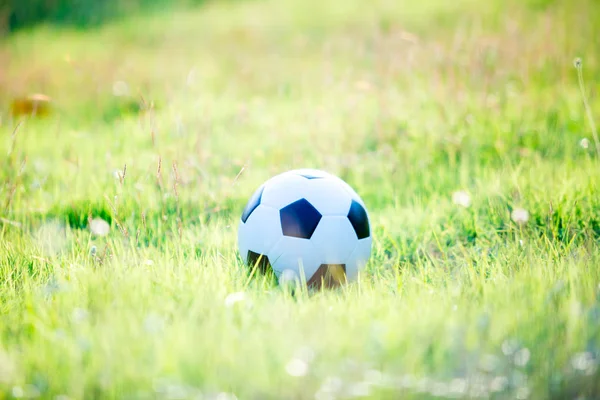 A ball for street soccer football under the sunset ray light. Soccer ball on green grass