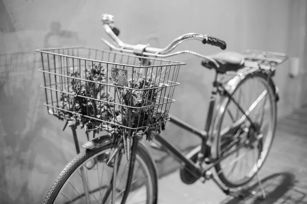 Retrato Preto Branco Bicicleta Vintage Parede Vintage Flor Cesta Bicicleta — Fotografia de Stock