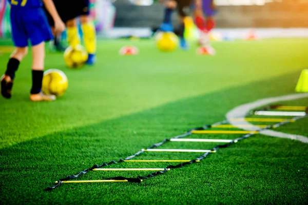 selective focus to ladder drills on green artificial turf with b