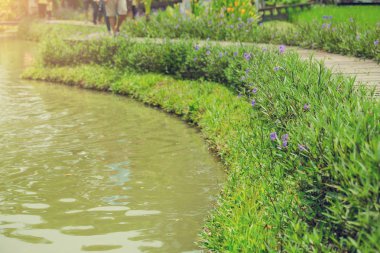 ahşap köprü ve yan çiçek mor çiçek seçici odak