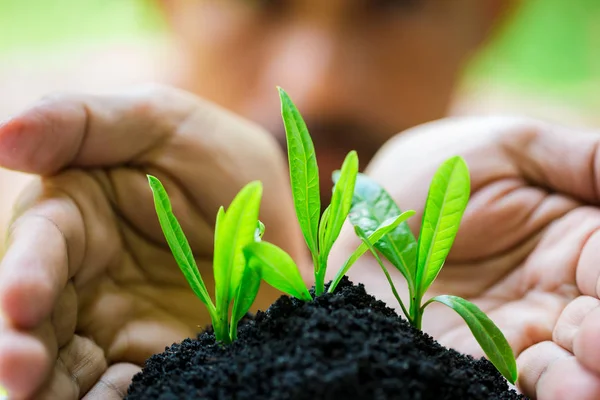 seedling and abundance soil in hands with blurry face man, growt