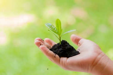bolluk toprak ve bulanık g ile çocuk ve baba elinde fide