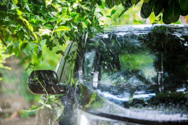 yağmur damlası su ile ağacın altında siyah araba.