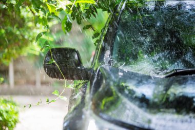 yağmur damlası su ile ağacın altında siyah araba.