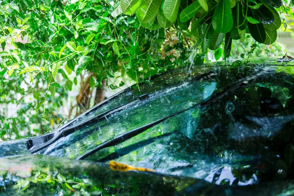 Czarny samochód pod drzewem z deszczem kropla wody. — Zdjęcie stockowe