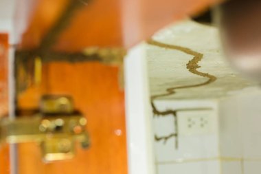 Termitlerin izleri odun yemek, Kereste kapı kirişi dönem zarar