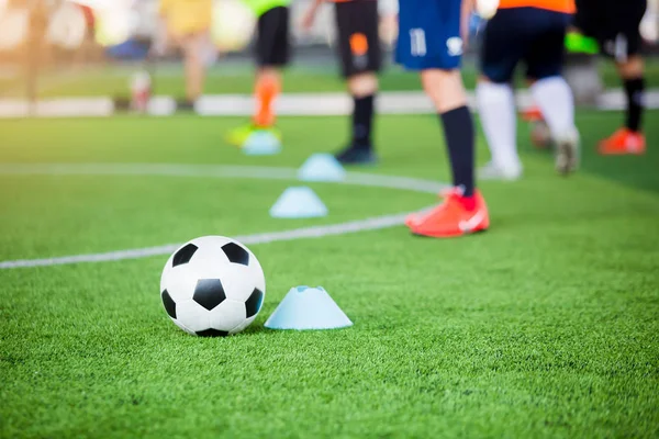 bulanık futbol takımı traini ile yeşil yapay çim futbol