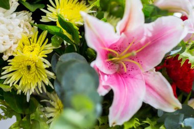 Taze çiçek buketine odaklan. Düğün veya selamlama için botanik kompozisyonu. Karışık çiçeklerin renginde bir buket. Mükemmel bahçe çiçekleri..