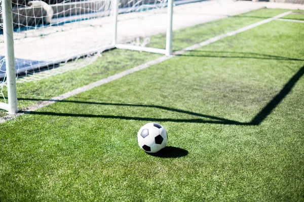 球门柱前绿地上有阳光和阴影的足球 足球在球门线前面 这还不是目标 — 图库照片