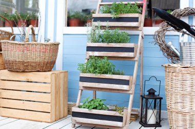 Bahçe. Tencerede Bahar Bahçesi Yetiştirme bitkileri. Mavi bir kır evinin duvarına karşı bahçe ekipmanları yanında Hasır sepetler. Yaz mevsimtatili. Arka bahçesinde kır evinin dekoru