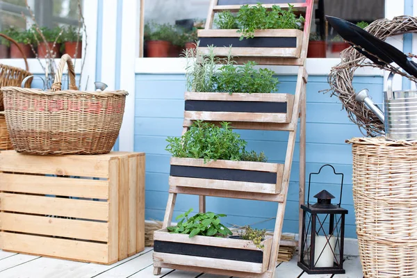 Bahçe. Tencerede Bahar Bahçesi Yetiştirme bitkileri. Mavi bir kır evinin duvarına karşı bahçe ekipmanları yanında Hasır sepetler. Yaz mevsimtatili. Arka bahçesinde kır evinin dekoru