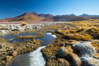 Laguna Colorada - kırmızı su lagünü. Bolivya. Güney Amerika