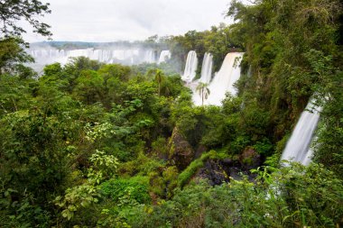 Iguazu Falls seen from the Argentinian National Park clipart