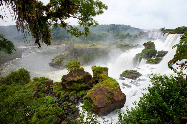 Arjantin Milli Parkı'ndan iguazu Şelalesi