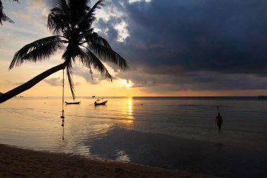 Günbatımı ile palm ve longtail tekne tropikal plaj. Ko tao Island, Tayland