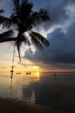 Günbatımı ile palm ve longtail tekne tropikal plaj. Ko tao Island, Tayland