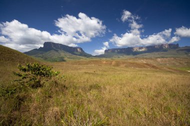 Roraima ve Kukenan masa dağları, La Gran Sabana, Canaima Ulusal Parkı, Venezuela