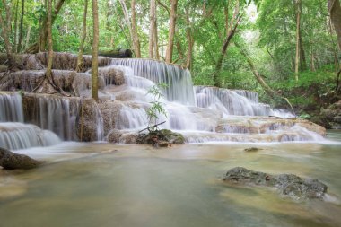 Hauy Mae Khamin Şelalesinin 5. 'si Kan Ormanı' nın derinliklerinde.