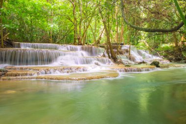 Hauy Mae Khamin Şelalesinin 5. 'si Kan Ormanı' nın derinliklerinde.
