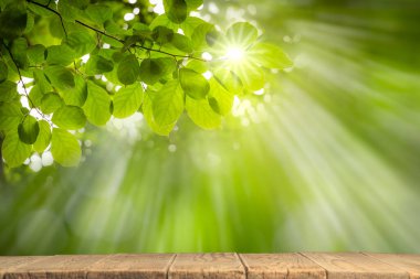 Bokeh arkaplan ve yazı için güneş ışığı olan boş ahşap masa, şablon maketi ve ürün görüntüsü. yeşil doğa ve ekoloji kavramı.