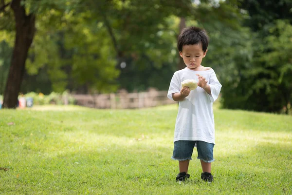 緑の芝生の上に立つアジア系の男の子の肖像画とサンドイッチを保持 息子は休日に公園で家族と一緒に活動しています — ストック写真