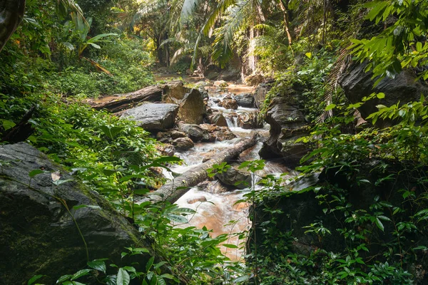 Paisagem Cachoeira Pequena Bonita Fluxo Que Flui Montanha Floresta Tropical — Fotografia de Stock