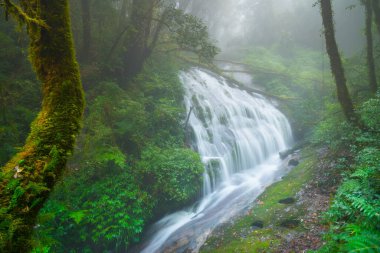 Doi Inthanon Ulusal Parkı, Chiang Mai, Tayland 'daki Kew Mae Pan' a su düştü..