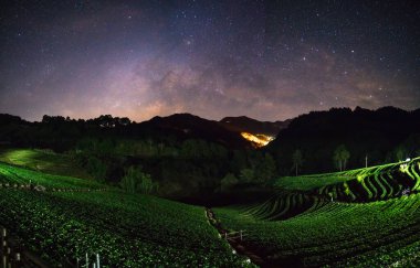 Çilek tarlasında samanyolu olan güzel gökyüzü Barn Nor Lae, Doi Aungkhang.