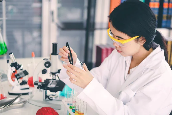 Young Scientists Doing Scientific Experiments — Stock Photo, Image