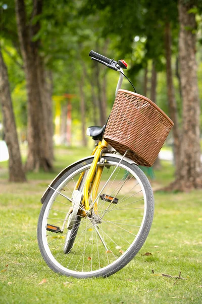 Желтый Велосипед Припаркован Лужайке Парке — стоковое фото