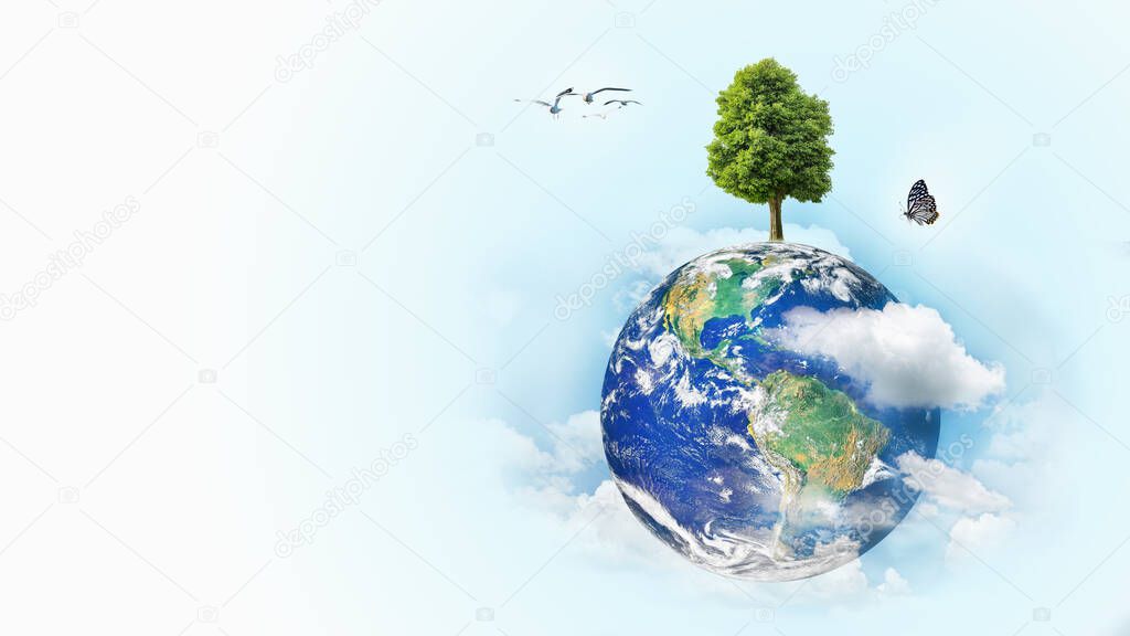 Tree growing on earth with butterfly and birds on clouds and blue background with copy space. Safe world and ecology concept. Elements of this image furnished by NASA.