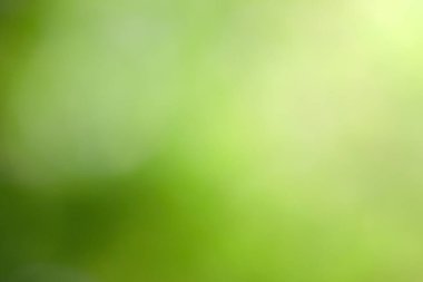 bokeh arkaplan ve metin için güneş ışığı, şablon maket ve ürün görüntüleme. yeşil doğa ve ekoloji kavramı.