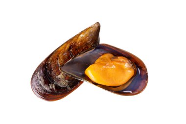 Beyaz arka plan üzerinde izole pişirilmiş midye. Mytilidae. Midye Atlantik Okyanusu su ürünleri Galicia İspanya üzerinden