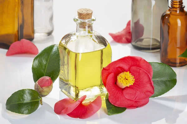 Camellia Oil Bottle Beauty Skin Care Wellness Medicinal Purposes — Stock Photo, Image