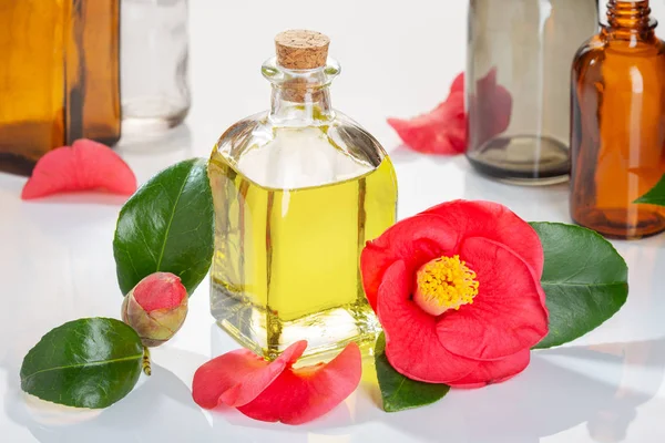 Camellia Oil Bottle Beauty Skin Care Wellness Medicinal Purposes — Stock Photo, Image