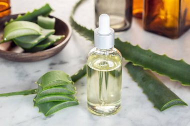 Aloe vera esans. Cilt Bakımı, spa, sağlık, Masaj, aromaterapi için aloe vera yağı