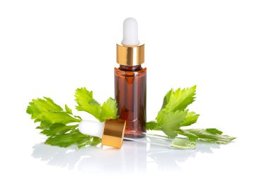 Kereviz esans. Kereviz yağı cilt bakımı, spa, sağlık, Masaj, Aromaterapi ve doğal tıp için. Alternatif Tıp