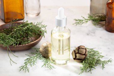Cypress essential oil. Cypress oil on bottle for beauty, skin care, wellness. Alternative medicine clipart