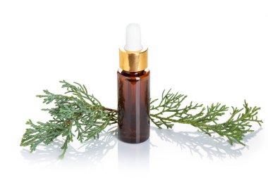 Cypress beyaz arka plan üzerinde izole esans. Selvi petrol şişe üzerinde güzellik, Cilt Bakımı, sağlık. Alternatif Tıp