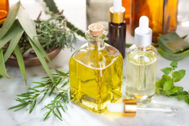 Bitkisel uçucu yağ. Biberiye yağı, okaliptüs yağı, aloe vera, pepermint ve çam yağı Aromaterapi, sağlık, Cilt Bakımı, bitkisel ilaçlar