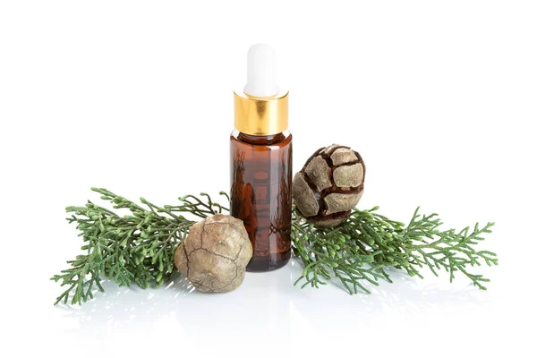 Cypress beyaz arka plan üzerinde izole esans. Selvi petrol şişe üzerinde güzellik, Cilt Bakımı, sağlık. Alternatif Tıp