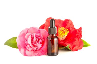 Beyaz arka plan üzerinde izole kamelya yağı