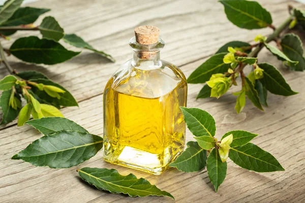 Bay essential oil isolated on glass bottle — Stock Photo, Image