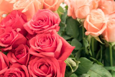 Kırmızı ve soluk turuncu gül buketi